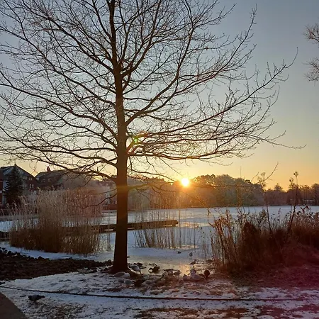 Daire Schloonseevillen 19 Heringsdorf